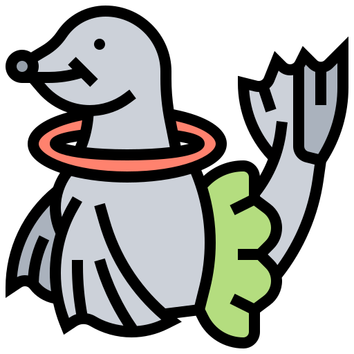 Sea lion